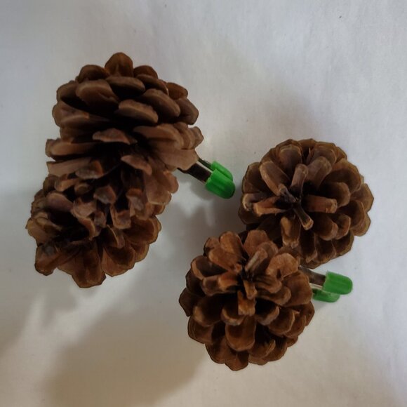 Natural Unscented Wooded Pinecone Clip Ornaments – Holiday Décor – Set of (2) - Picture 6 of 6